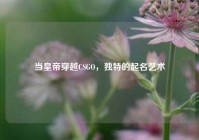 当皇帝穿越CSGO，独特的起名艺术