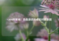 CSGO阿里城，热血激战的虚拟对战地图