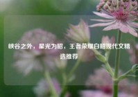 峡谷之外，星光为昭，王者荣耀白昭现代文精选推荐