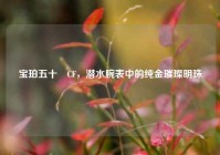 宝珀五十噚CF，潜水腕表中的纯金璀璨明珠