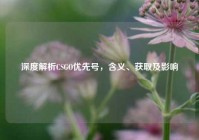 深度解析CSGO优先号，含义、获取及影响