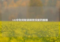 LOL中如何取消释放技能的圈圈