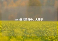 CSGO界传奇符号，大茄子