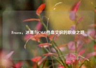 Frozen，冰寒与CSGO热血交织的职业之路