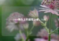 CSGO舞台上的璀璨之星，Tarik