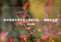 和平精英中坦克需几颗雷炸毁、一颗雷能否炸死机甲