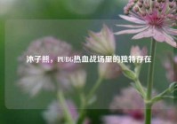 沐子熊，PUBG热血战场里的独特存在