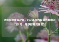 硬盘里的青春战场，CSGO本机档案藏着我的游戏岁月，那数据究竟在哪？