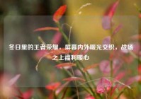 冬日里的王者荣耀，屏幕内外暖光交织，战场之上福利暖心