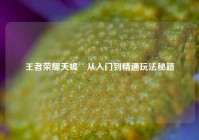 王者荣耀天蝎暃从入门到精通玩法秘籍