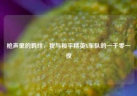 枪声里的羁绊，我与和平精英X车队的一千零一夜