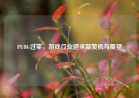 PUBG过审，游戏行业迎来新契机与展望