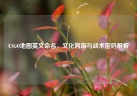 CSGO地图英文命名，文化溯源与战术密码解析