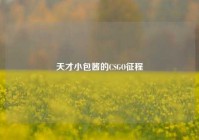 天才小包酱的CSGO征程