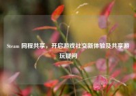 Steam 同程共享，开启游戏社交新体验及共享游玩疑问