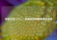 穿越火线（CF），热血枪战的辉煌游戏征程