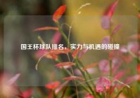 国王杯球队排名，实力与机遇的碰撞