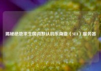 揭秘绝地求生国内默认的东南亚（SEA）服务器