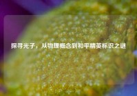 探寻光子，从物理概念到和平精英标识之谜