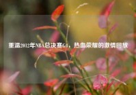 重温2012年NBA总决赛G4，热血荣耀的激情回放