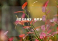 绿茵低调舞者，巴莱罗