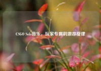 CSGO Solo音乐，玩家专属的激昂旋律
