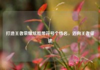 打造王者荣耀炫酷带符号个性名，迈向王者征途