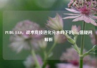 PUBG 1.4.0，战术竞技进化分水岭下的ping值疑问解析