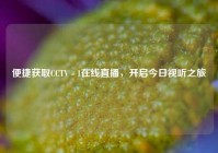 便捷获取CCTV - 1在线直播，开启今日视听之旅