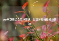 2020东京奥运会足球赛场，激情梦想的碰撞与回放