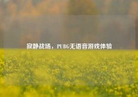寂静战场，PUBG无语音游戏体验
