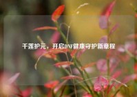 千莲护元，开启DNF健康守护新章程