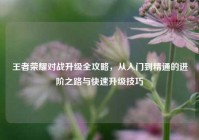 王者荣耀对战升级全攻略，从入门到精通的进阶之路与快速升级技巧