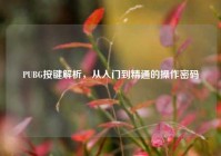 PUBG按键解析，从入门到精通的操作密码