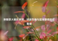 休斯敦火箭队微博，球迷热爱与篮球激情的汇聚地