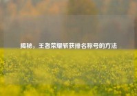 揭秘，王者荣耀斩获排名称号的方法