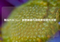 畅玩PUBG Lite，加速秘籍与游戏体验提升攻略