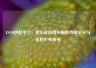 CSGO拼装小刀，指尖竞技情怀里的热爱坚守与价格折扣探究