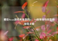 藏在Steam游戏库角落的zy，一段等待与惊喜的冒险之旅