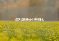 街头唱逆战的小孩叫什么