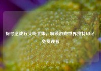 探寻逆战石头哥全集，解锁游戏世界独特印记 免费观看