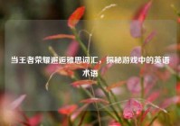 当王者荣耀邂逅雅思词汇，探秘游戏中的英语术语