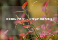 PUBG国际比赛积分，竞技实力的直观体现