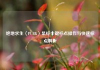 绝地求生（PUBG）鼠标中键标点操作与快速标点解析