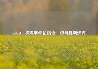CSGO，探寻手伸长指令，迈向胜利远方