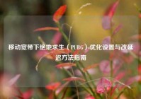 移动宽带下绝地求生（PUBG）优化设置与改延迟方法指南
