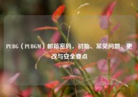 PUBG（PUBGM）邮箱密码，初始、常见问题、更改与安全要点