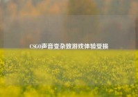 CSGO声音变杂致游戏体验受损