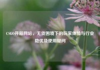 CSGO开箱网站，无货困境下的玩家体验与行业隐忧及使用疑问