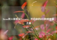 Steam双人联机玩Terraria，开启你的RTS风格冒险之旅